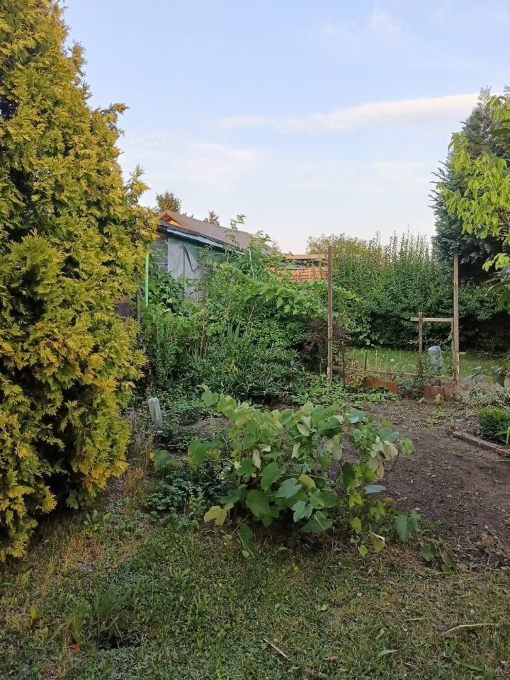 Działka rod Inowrocław, Szosa Bydgoska. Zdjęcie 3