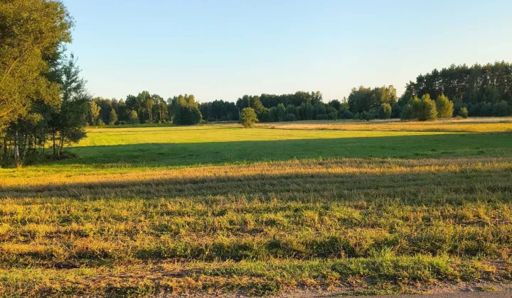 Działka budowlana Wólka Kokosia