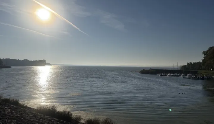 Działka budowlana Turawa, al. Wypoczynkowa
