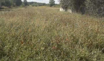 Działka budowlana Kłomnice, ul. Nowa