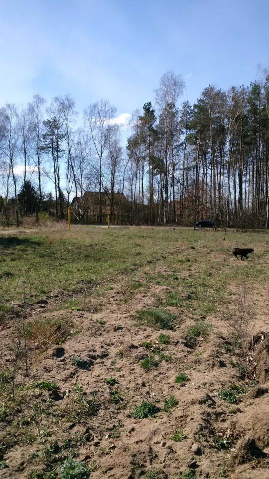 Działka rolno-budowlana Marszewo. Zdjęcie 8