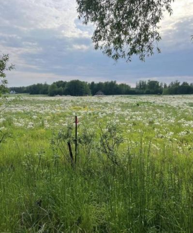 Działka rolna Muntowo Piotrówka. Zdjęcie 1