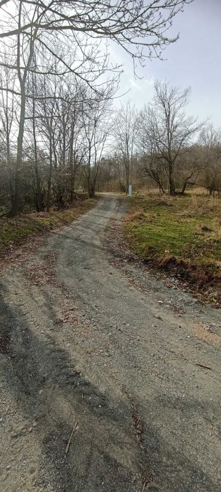 Działka budowlana Wilcza. Zdjęcie 3