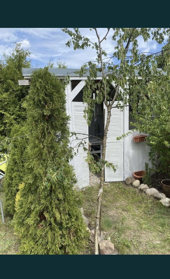 Działka rod Supraśl, ul. Białostocka. Zdjęcie 11