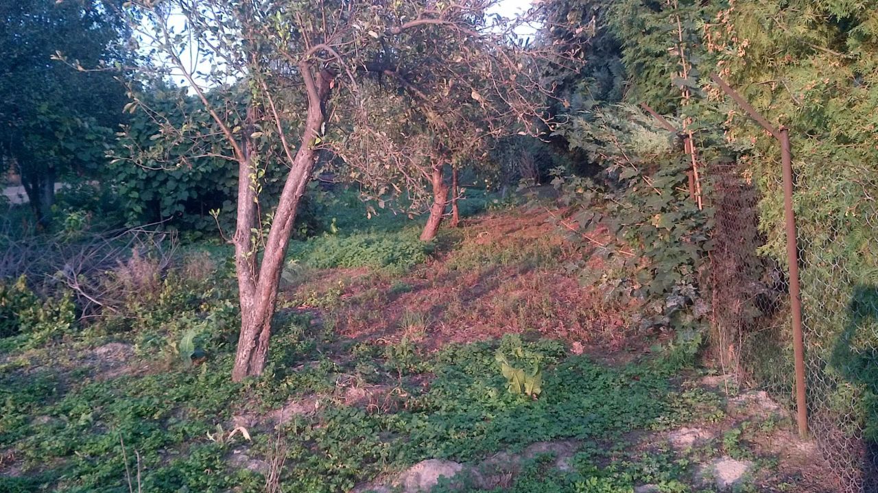 Działka siedliskowa Smugi. Zdjęcie 7