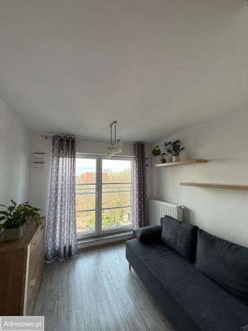 Mieszkanie 1-pokojowe Wrocław Stare Miasto, ul. Przedmiejska. Zdjęcie 1