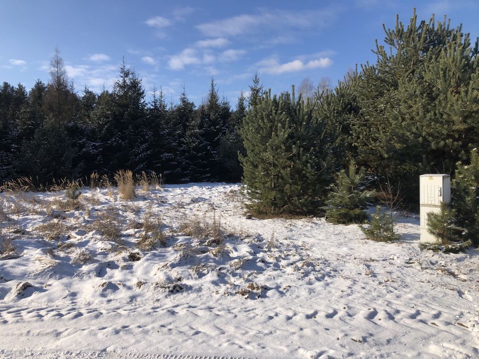 Działka budowlana Jasionna. Zdjęcie 5