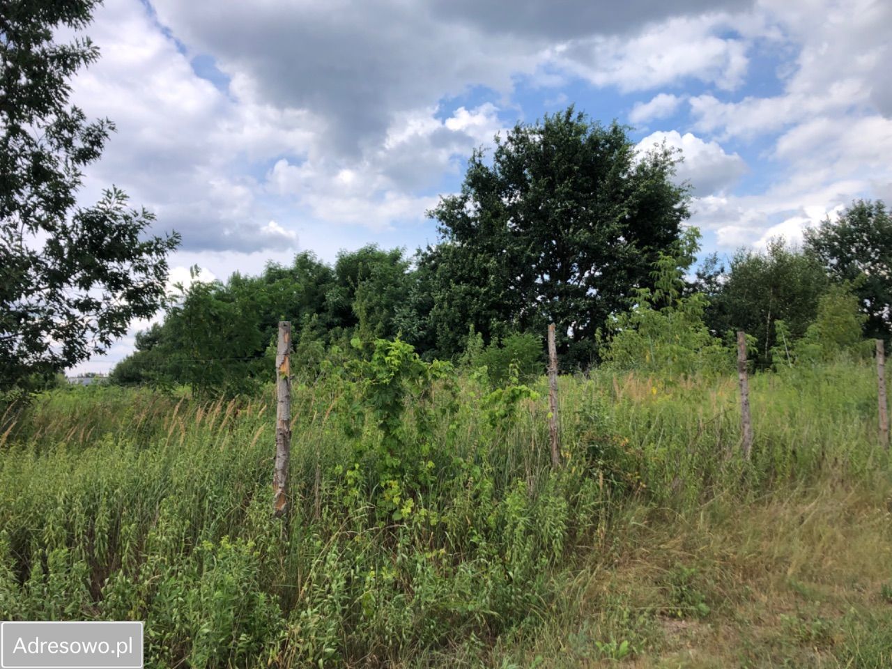 Działka budowlana Warszawa Wawer, ul. Mrówcza. Zdjęcie 7