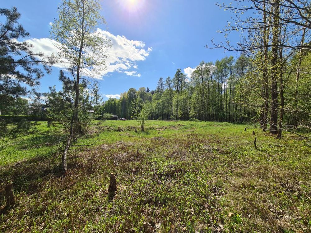 Działka budowlana Ostrowiec Świętokrzyski, ul. Oliwkowa. Zdjęcie 7