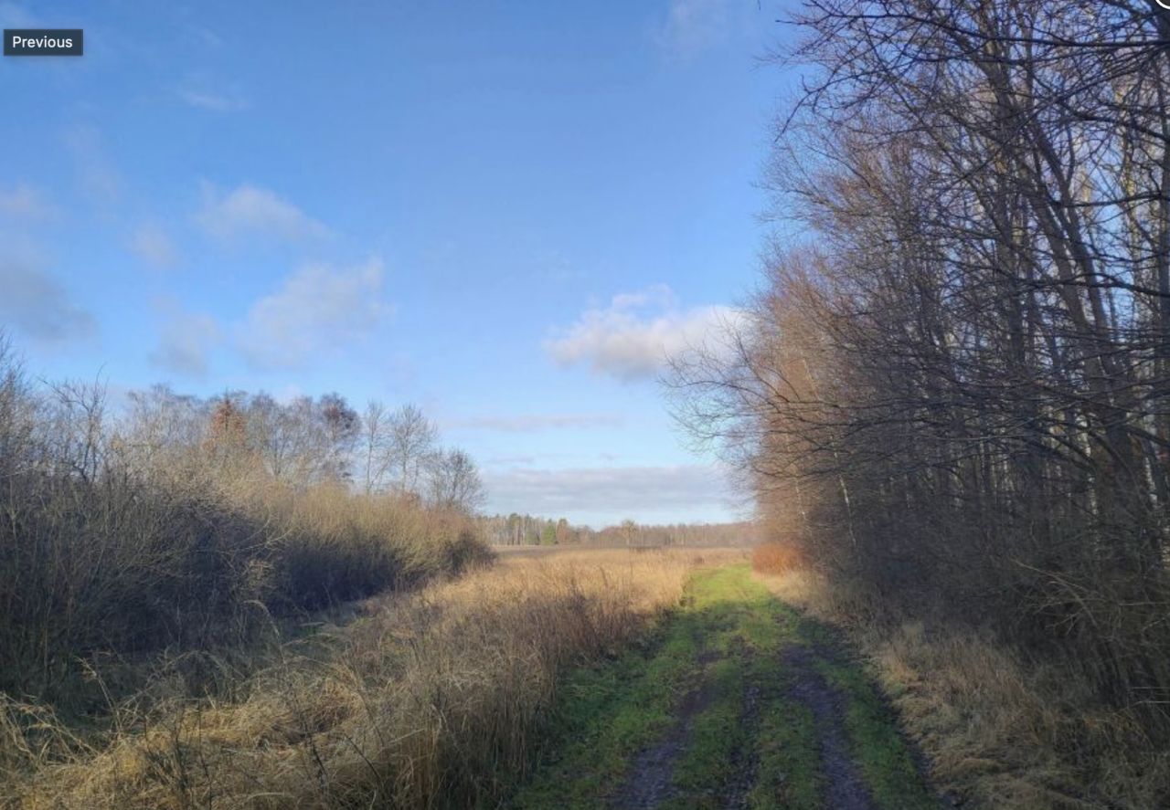 Działka rolna Dalno. Zdjęcie 8