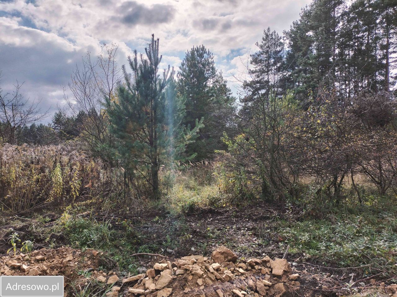 Działka budowlana Czyżówka, ul. Lipowa. Zdjęcie 6