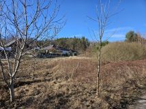 Działka budowlana Żary Kunice Żarskie, al. Wojska Polskiego. Zdjęcie 1