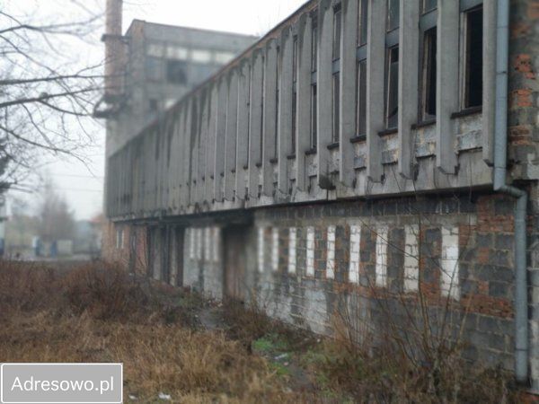 kamienica Wiązów, ul. Strzelińska. Zdjęcie 2