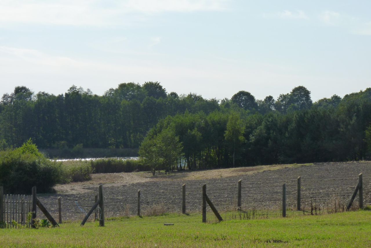 Działka rolna Zieleniewo. Zdjęcie 12