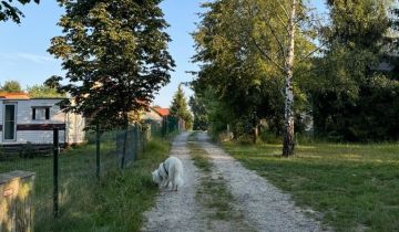 Działka rekreacyjna Borzygniew, ul. Letniskowa