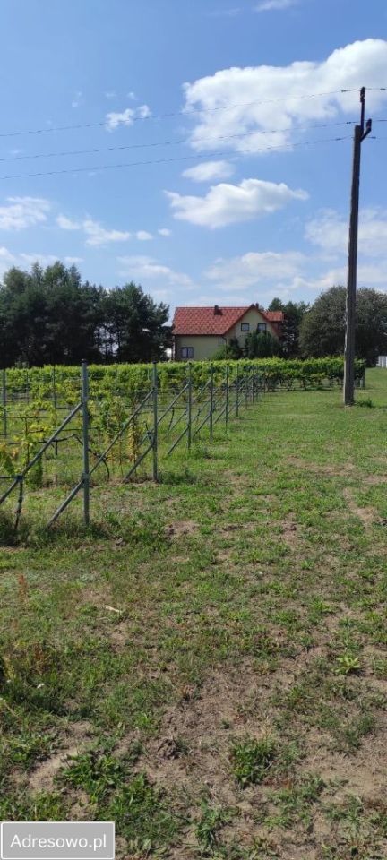 dom wolnostojący Okalew. Zdjęcie 8