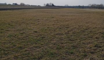 Działka rolno-budowlana Stare Komaszyce