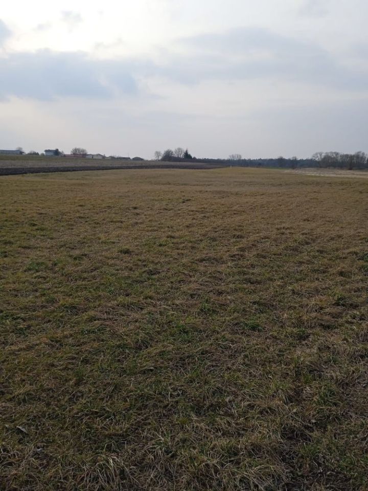 Działka rolno-budowlana Stare Komaszyce