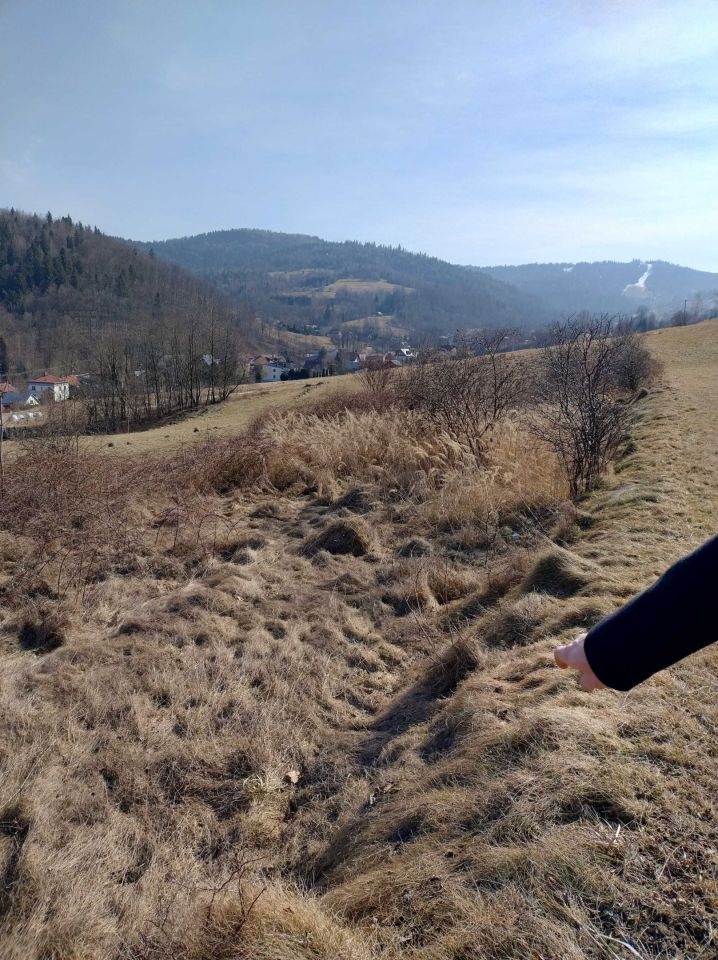 Działka rolna Świnna. Zdjęcie 7