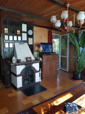 Działka rekreacyjna Łosie, ul. Czyżyka. Zdjęcie 1