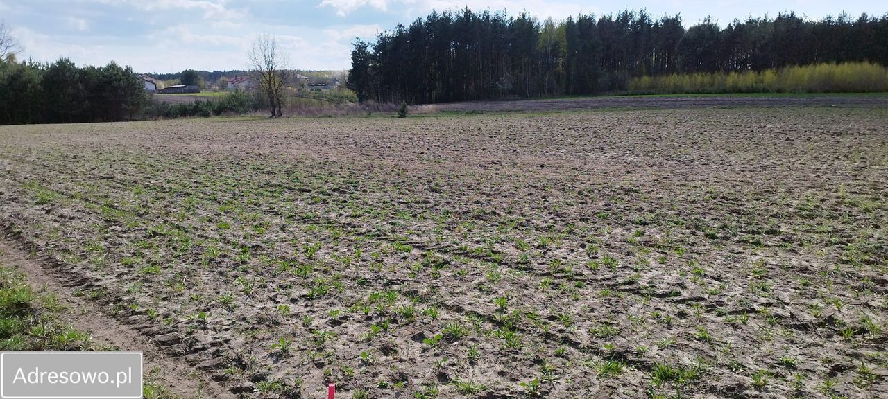 Działka budowlana Maksymilianów. Zdjęcie 2