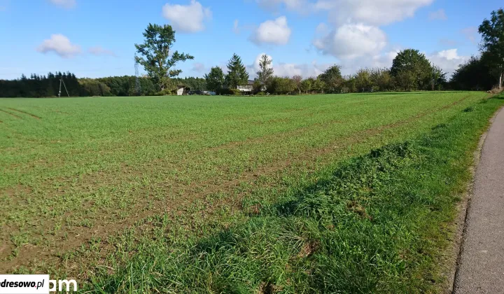 Działka siedliskowa Stramniczka
