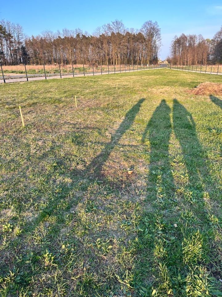 Działka budowlana Szczytniki. Zdjęcie 7