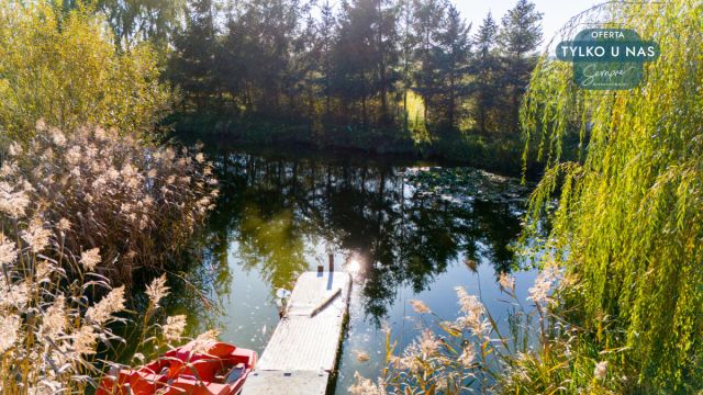 dom wolnostojący, 5 pokoi Kłoniszew. Zdjęcie 14