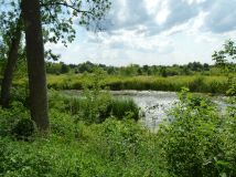 gospodarstwo Sobienie-Jeziory. Zdjęcie 1