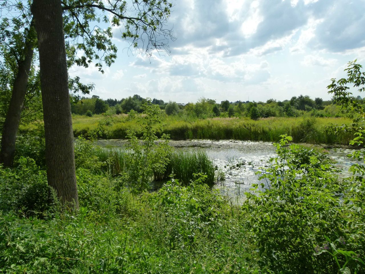 gospodarstwo Sobienie-Jeziory. Zdjęcie 2