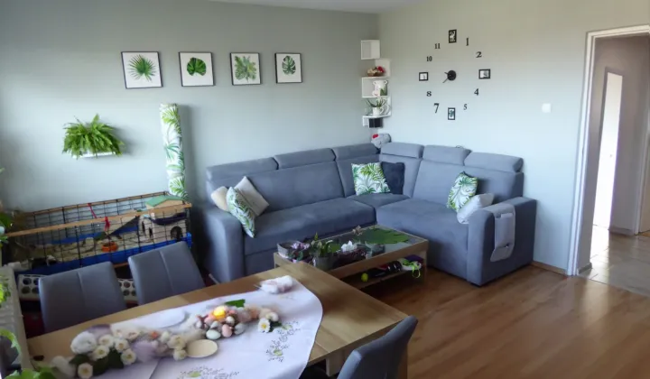 Mieszkanie 4-pokojowe Szczecin Zdroje, ul. Leszczynowa