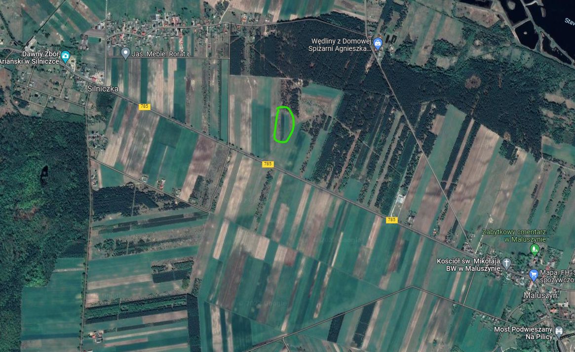 Działka rolna Maluszyn, ul. Wolności. Zdjęcie 3