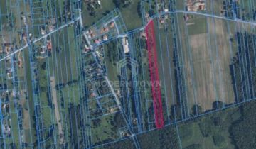 Działka rolna Orzeszyn