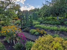 Działka rod Szczecin Wielgowo, ul. Tatarakowa. Zdjęcie 3