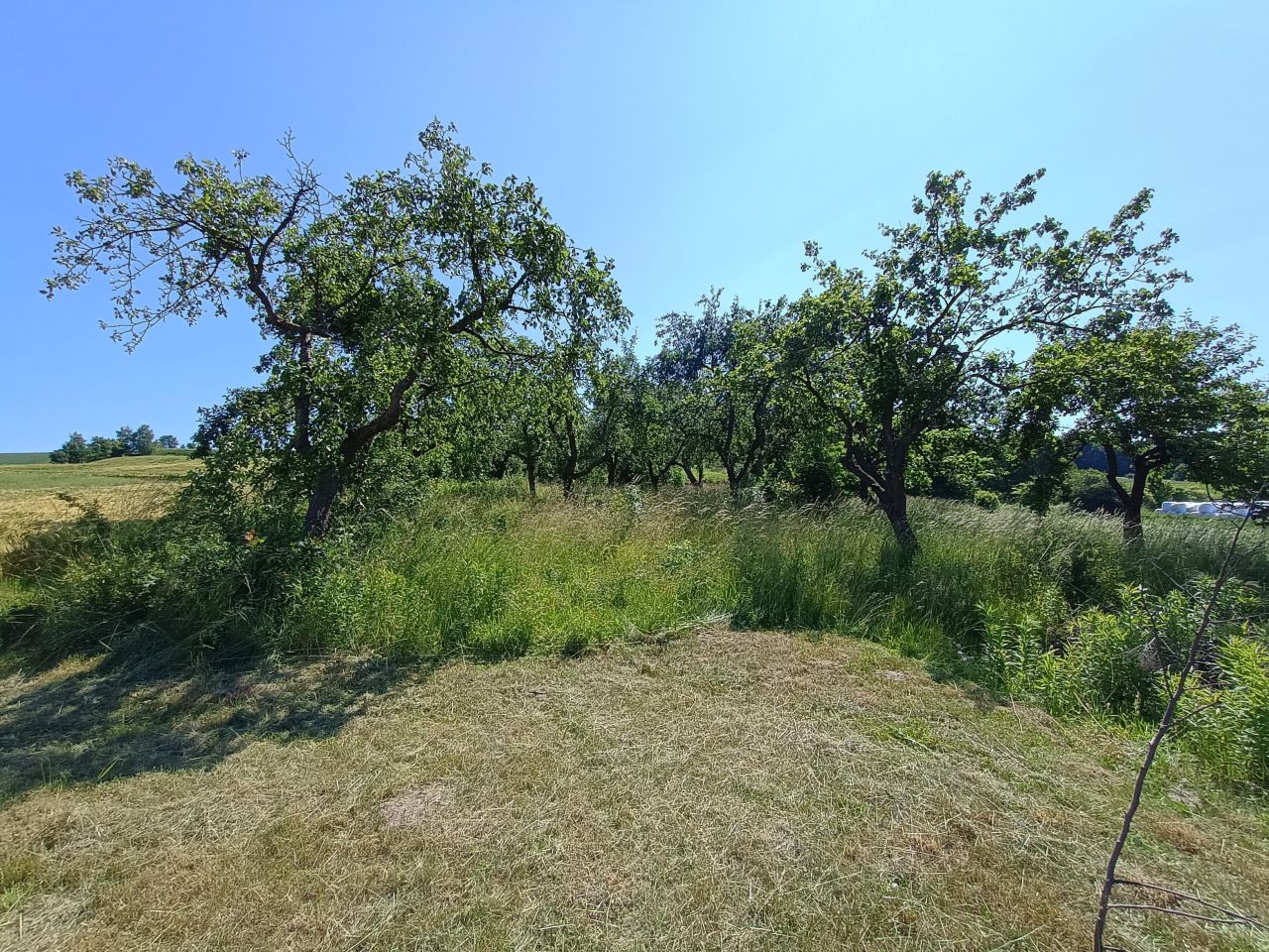 Działka rolno-budowlana Kleszczowa. Zdjęcie 16