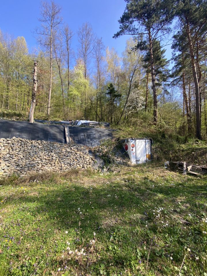 Działka leśna Rożnów Wiesiółka. Zdjęcie 4