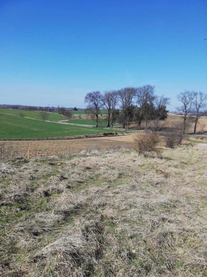 Działka rekreacyjna Chłopowo. Zdjęcie 6