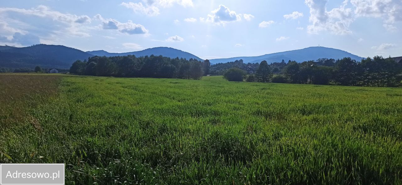 Działka budowlana Twardorzeczka, ul. Widokowa. Zdjęcie 7