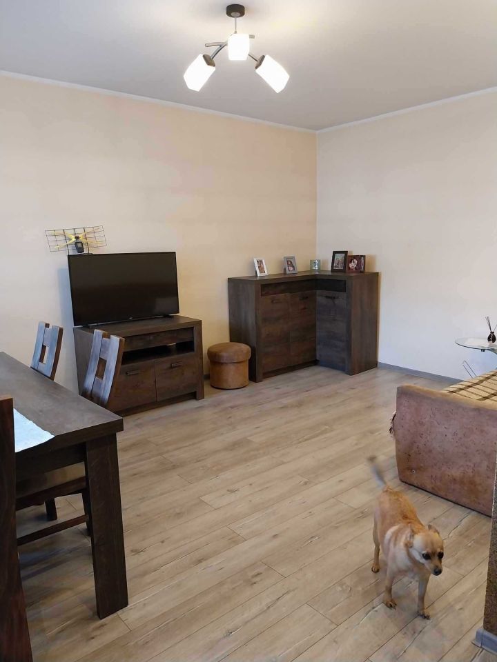 dom wolnostojący Złotniki Kujawskie. Zdjęcie 2