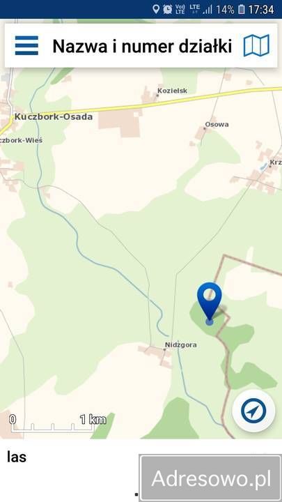 Działka leśna Nidzgora. Zdjęcie 2