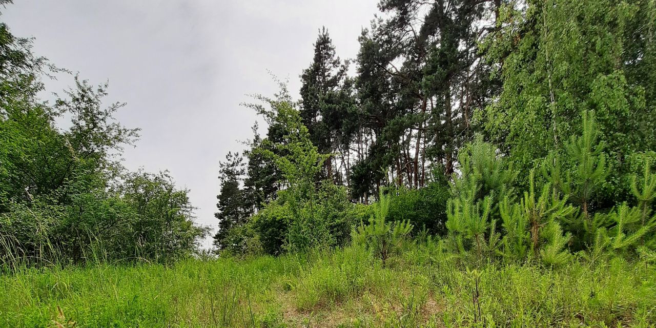 Działka budowlana Nowe Miasto Lubawskie Kornatki. Zdjęcie 9