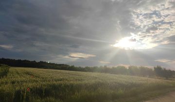 Działka budowlana Stary Rachów