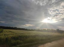 Działka budowlana Stary Rachów. Zdjęcie 1