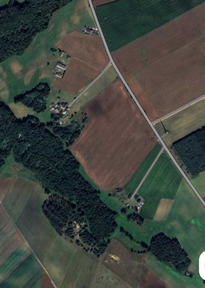 Działka rolna Borowo. Zdjęcie 1