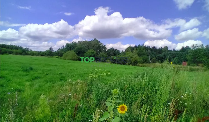 Działka siedliskowa Książenice