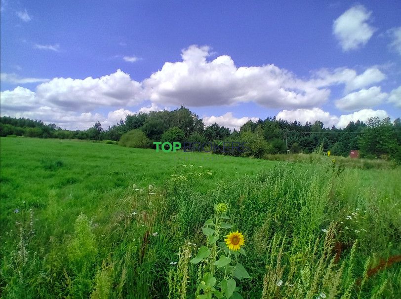Działka siedliskowa Książenice. Zdjęcie 1