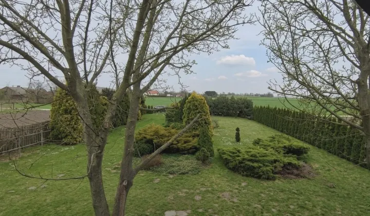 Działka inna Wola Błędowa