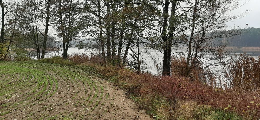 Działka rolno-budowlana Huta Nowa. Zdjęcie 4