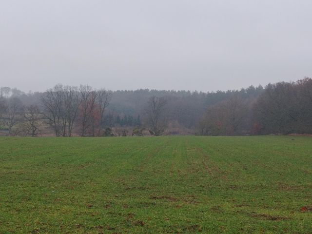 Działka rolno-budowlana Binowo. Zdjęcie 1