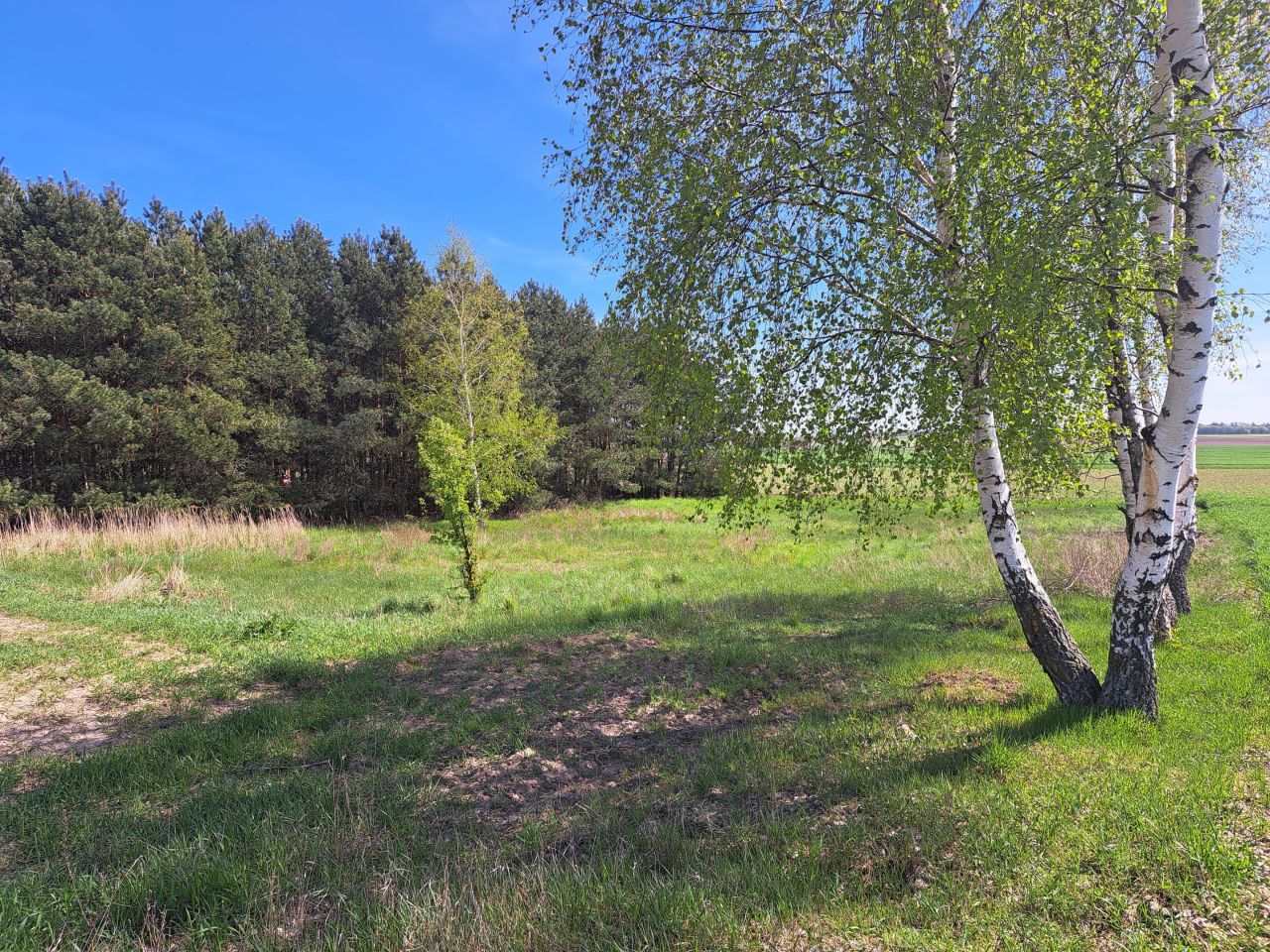 Działka rekreacyjna Obudno. Zdjęcie 2